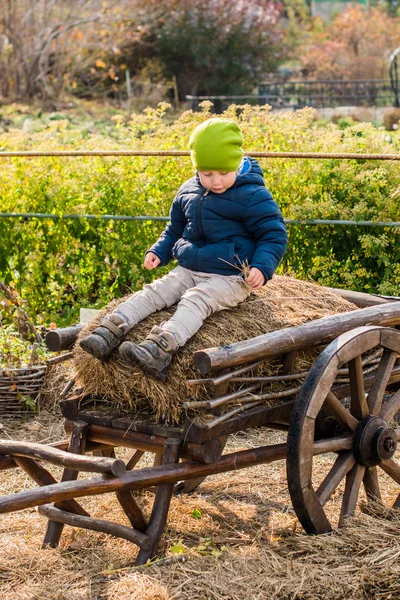 Boy sitting at a vintage wooden carriage — Stock Photo, Image