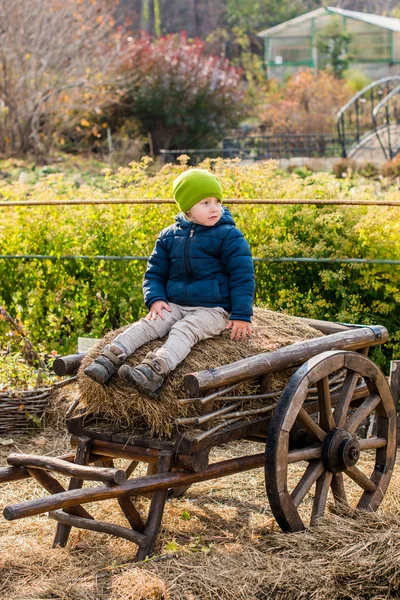 Boy sitting at a vintage wooden carriage — Stock Photo, Image