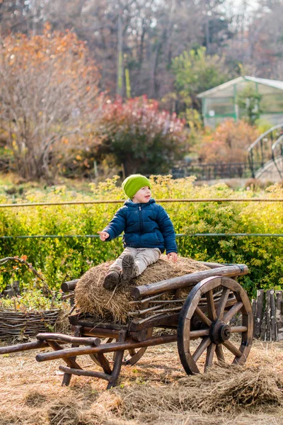 Boy sitting at a vintage wooden carriage — Stock Photo, Image