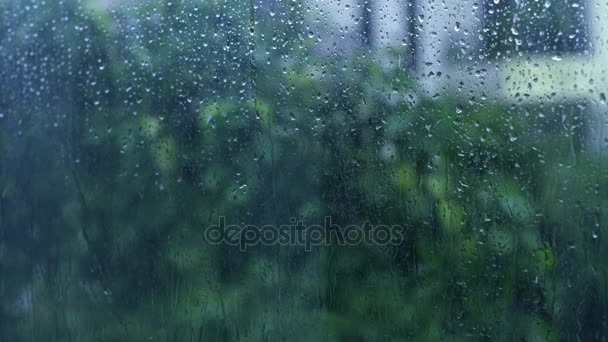 雨の森ストック動画 ロイヤリティフリー雨の森動画 Depositphotos