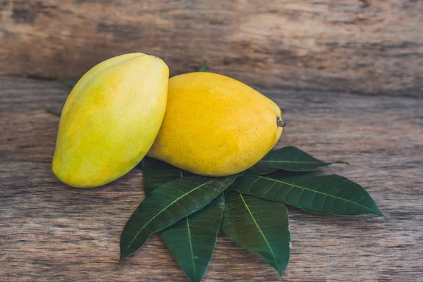 Mango and mango leaves