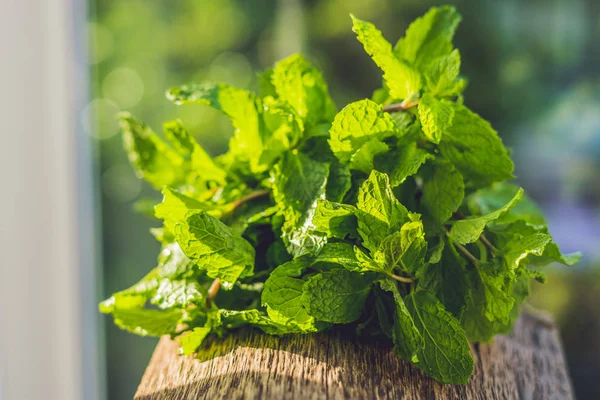 Mint segar di atas meja kayu — Stok Foto