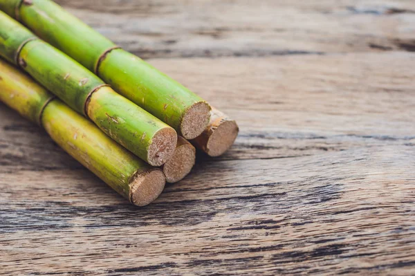 Stalks of sugar cane — Stock Photo, Image