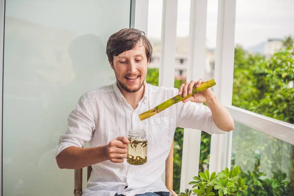 Homem brincando comer cana de açúcar — Fotografia de Stock