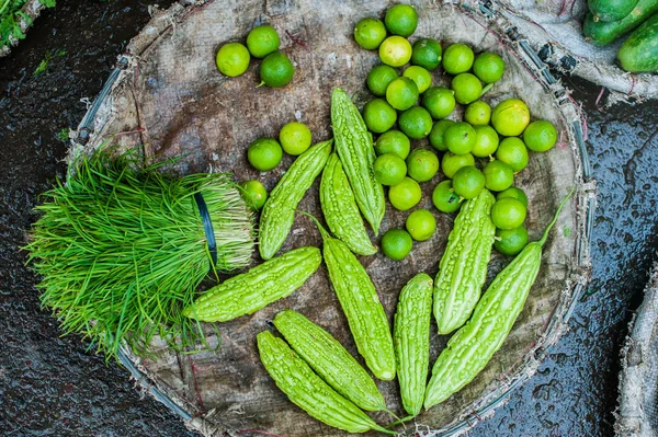 Momordica, cabaça amarga chinesa — Fotografia de Stock