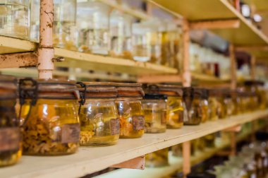 Deniz hayvanları korunmuş alkol 