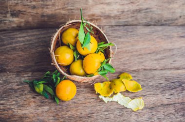 yaprakları taze mandalina