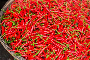 küçük kırmızı pul biber