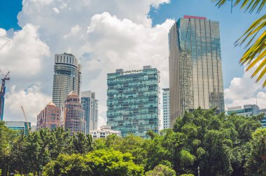 Tropik bitkiler ile yeşil park