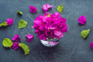 mor çiçekler bahar 