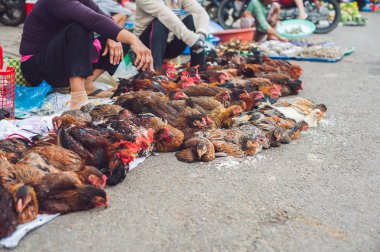 Vietnamca piyasada satılan tavuk. 