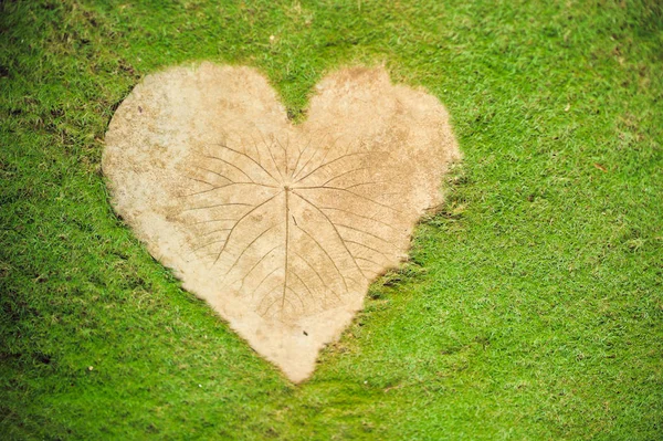 Forma do coração no fundo de grama verde — Fotografia de Stock