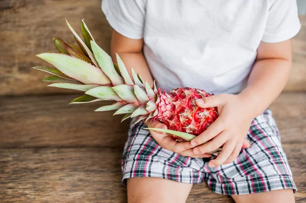 Piña rosa orgánica en las manos — Foto de Stock