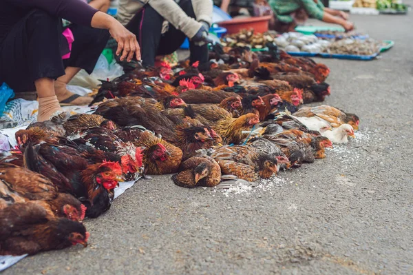 Pollo vendido en el mercado vietnamita . — Foto de Stock