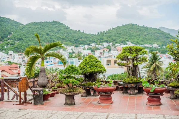 Régi tégla cham tornyok Nha Trang — Stock Fotó