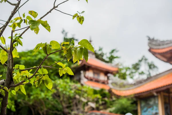 Long Son pagode em Nha Trang — Fotografia de Stock