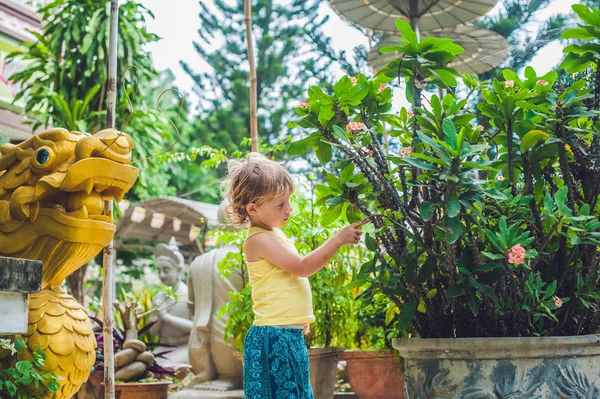 Chlapec v buddhistickém chrámu ve Vietnamu — Stock fotografie