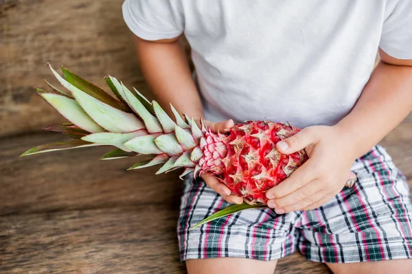 Piña rosa orgánica en las manos — Foto de Stock