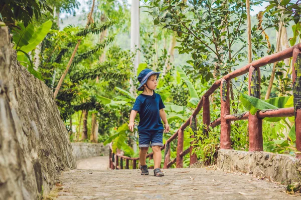 Хлопчик прогулянки по парку в Азії — стокове фото