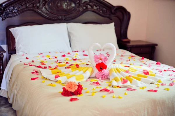 Branco dois cisnes de toalha e rosa vermelha na cama em terno de lua de mel — Fotografia de Stock