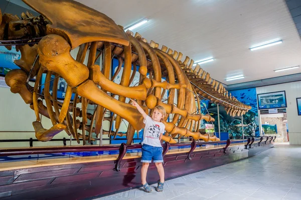 Bálna csontváza a vietnami Oceanográfiai Múzeum. — Stock Fotó