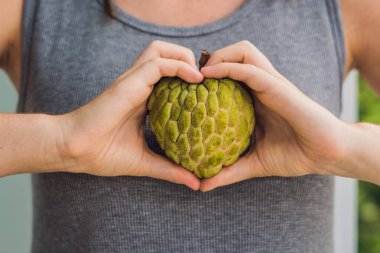 Cherimoya meyve elinde