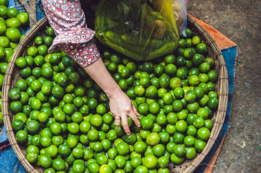 Hasır baskett Limes