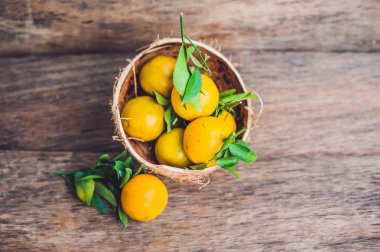 yaprakları taze mandalina