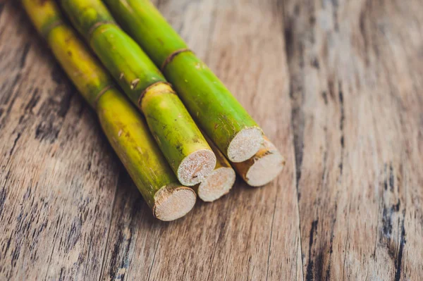 Stalks of sugar cane — Stock Photo, Image