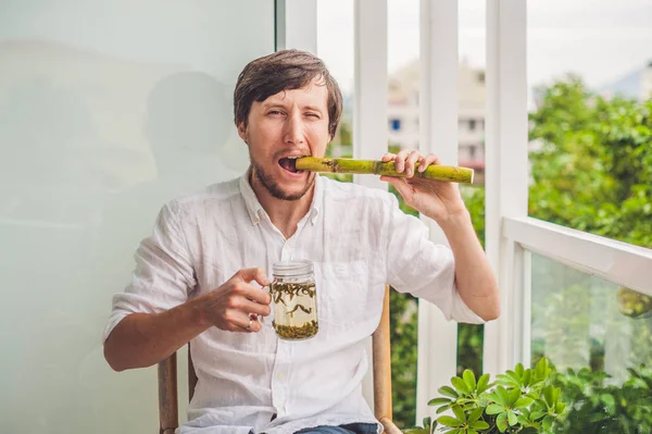 Man jokingly eating sugar cane — Stock Photo, Image