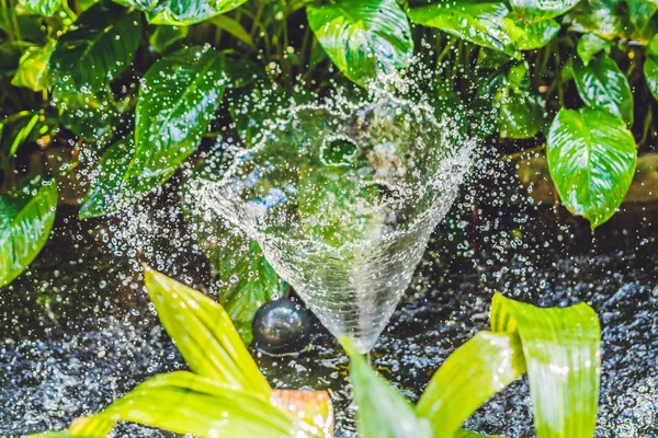 Sessiz havuzda küçük çeşme