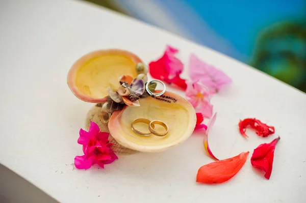 Esküvő gyűrű-ban a kagyló — Stock Fotó