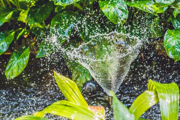 Small fountain in quiet pond