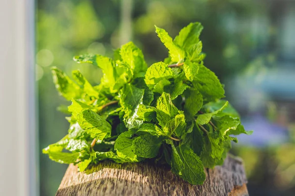 Fresh mint on wooden table — Stock Photo, Image