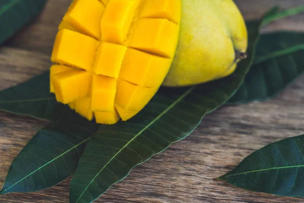 Foglie di mango e mango — Foto Stock