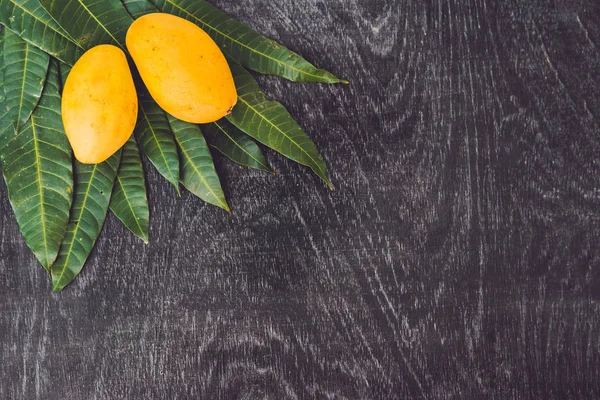 Mango ve mango yaprakları — Stok fotoğraf