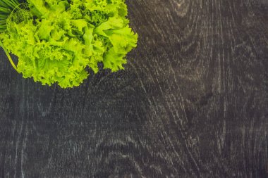 Taze organik otlar çeşitli