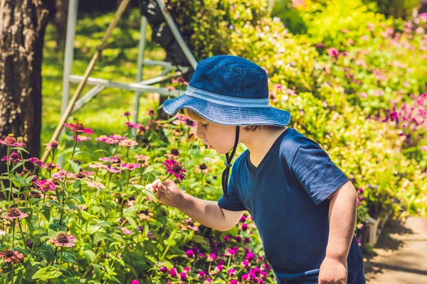 Boy smells  tropical flower. — Stock Photo, Image