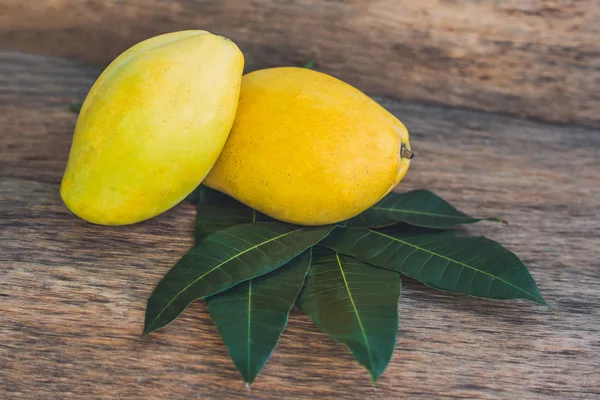 Hojas de mango y mango —  Fotos de Stock