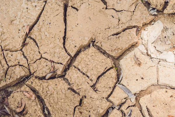 Dry cracked earth. — Stock Photo, Image