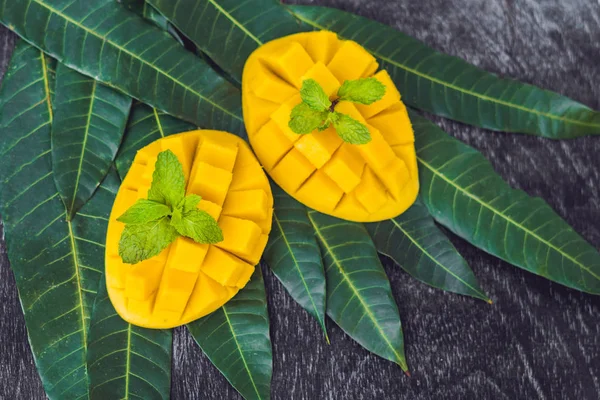 Hojas de mango y mango — Foto de Stock