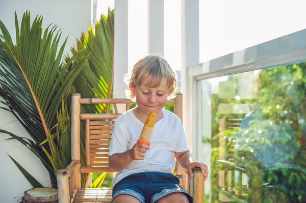수 제 아이스크림을 먹는 소년 — 스톡 사진