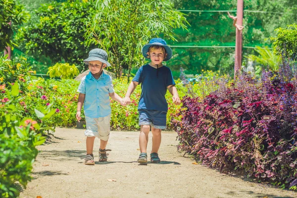 Two happy brothers running