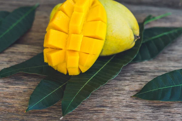 Foglie di mango e mango — Foto Stock