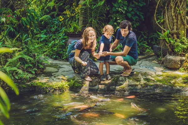 Šťastná rodina krmení barevné sumec — Stock fotografie