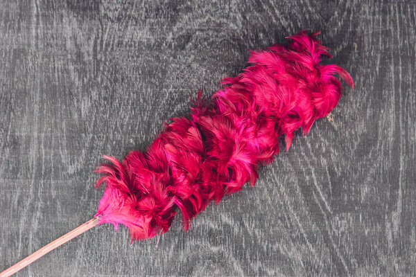 feather duster on  background.