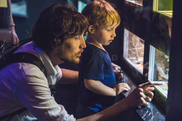 Padre e hijo mirando a los peces — Foto de Stock