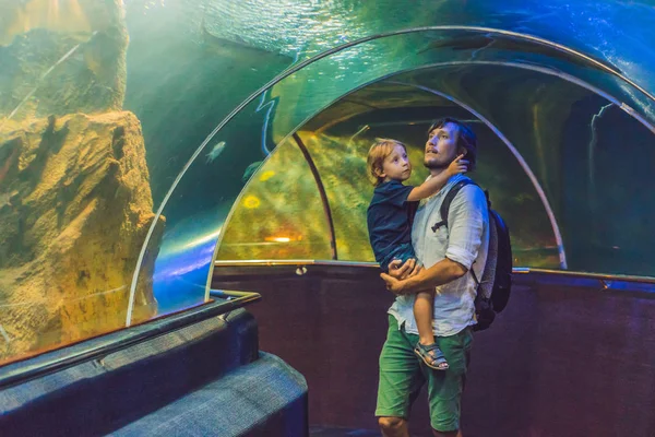Πατέρας και γιος βλέπουν τα ψάρια — Φωτογραφία Αρχείου