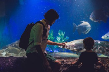 Baba ve oğul balıklara bakıyor