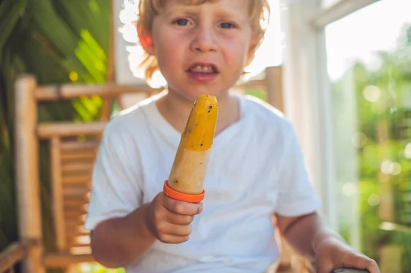Chico comiendo un helado casero — Foto de Stock